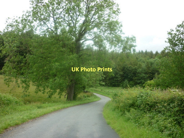 Photo 6"x4" Sandpit Lane towards Beadlam Pockley c2011