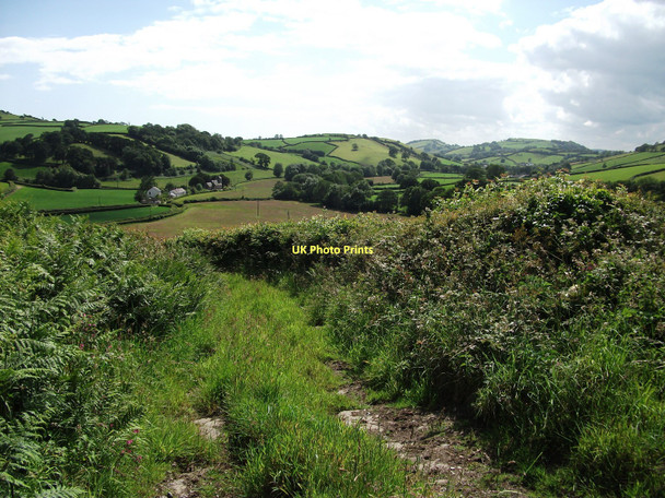 Photo 6"x4" View towards Llanfihangel-uwch-Gwili Felingwmisaf c2011
