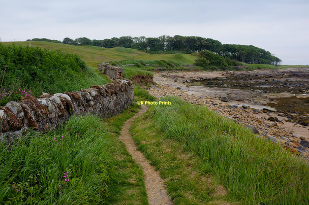 Photo 6"x4" Fife coastal path Kingsbarns c2011