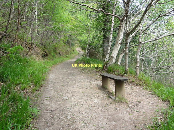 Photo 6"x4" Time For a Sit Down Woody Bay\/SS6749 c2011