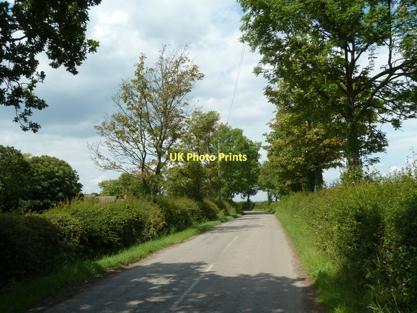 Photo 6"x4" Back Lane, Calow Green Calow Green c2011