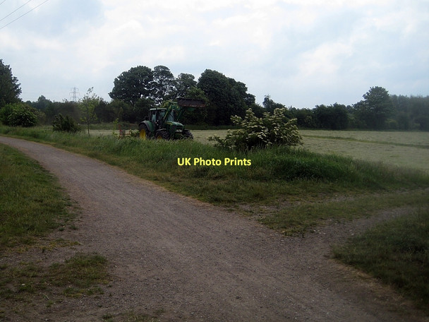 Photo 6"x4" Haymaking at Smalley Bight Stanley\/SE3424 c2011