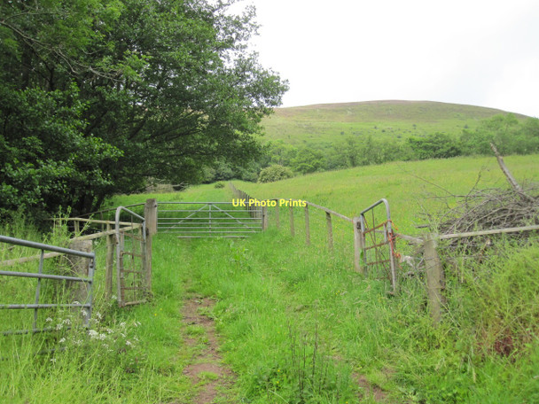 Photo 6"x4" Gated track on the east side of Mynydd Troed Cwmrhos c2011
