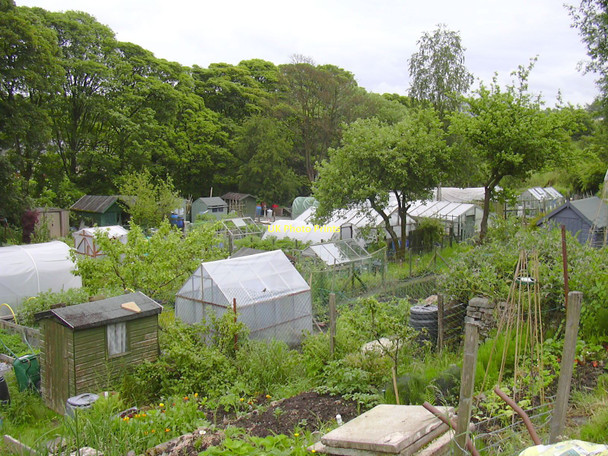 Photo 6"x4" Free Lane Allotments, Helmshore Ewood Bridge c2011