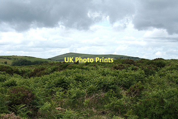 Photo 6"x4" Manaton: towards Easdon Tor Water\/SX7580 c2011