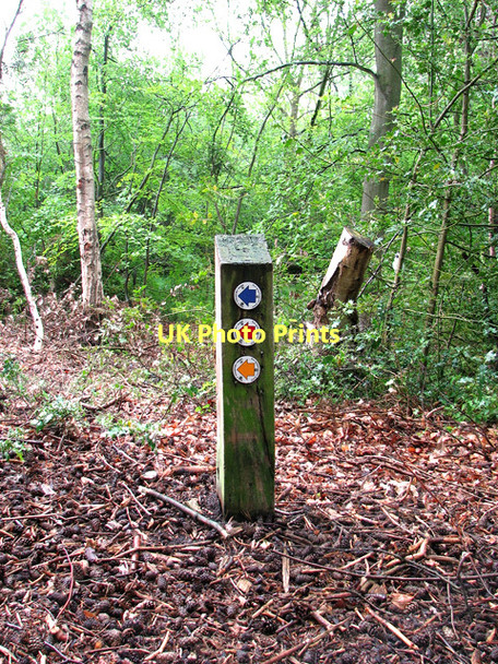 Photo 6"x4" Footpath markers at Holt Lowes Holt\/TG0838 c2011