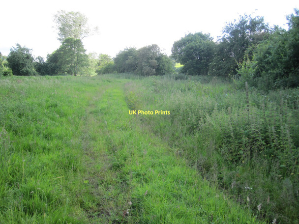 Photo 6"x4" Footpath near Three Cocks Pontithel c2011