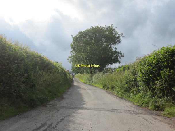 Photo 6"x4" Farm lane near Bronllys Coldbrook\/SO1536 c2011