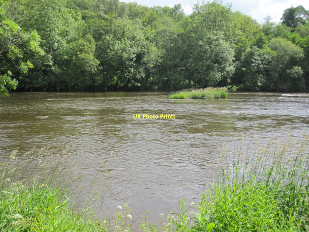 Photo 6"x4" River Wye: the full width with high water levels Erwood c2011