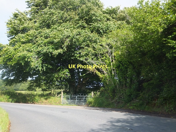 Photo 6"x4" Gate between Hingston Down and Moretonhampstead Doccombe c2011