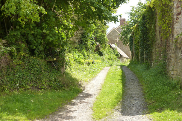 Photo 6"x4" Nether Compton Nether Compton c2011