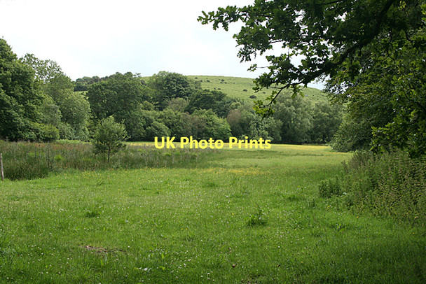 Photo 6"x4" North Bovey: meadow near Jurston Jurston c2011