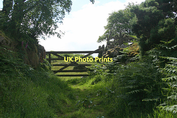Photo 6"x4" North Bovey: gate to the moor Jurston c2011