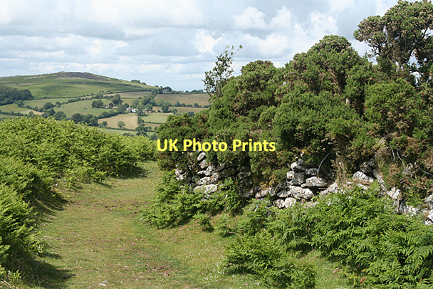 Photo 6"x4" North Bovey: towards Meldon Hill Jurston c2011
