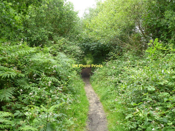 Photo 6"x4" Broadstone, Roman road Rushcombe Bottom c2011