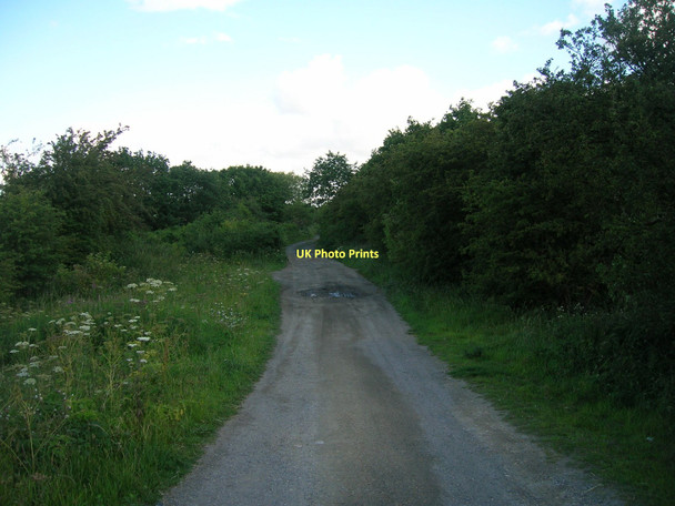 Photo 6"x4" Dorr Lane (track) off the A645 Gowdall c2011