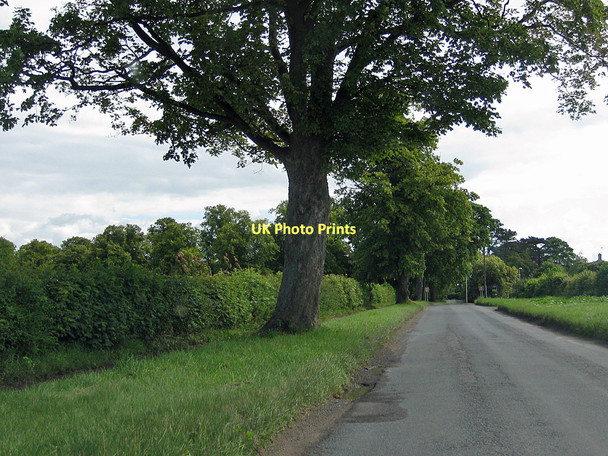 Photo 6"x4" Approach to Malton via Castle Howard Road Malton\/SE7871 c2011