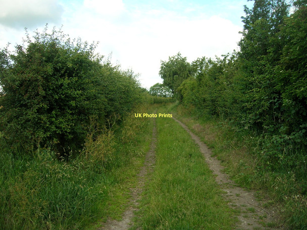 Photo 6"x4" West Common Lane (track) Hensall c2011