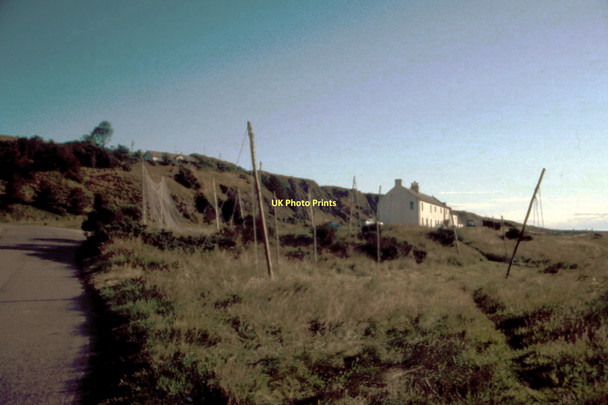 Photo 6"x4" St Cyrus National Nature Reserve - 1987 St Cyrus c1987 P1