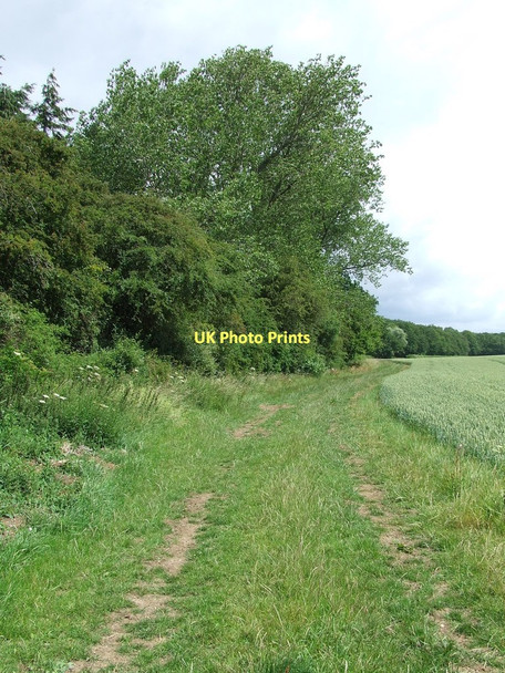 Photo 6"x4" Towards Trundley wood Great Wratting c2011