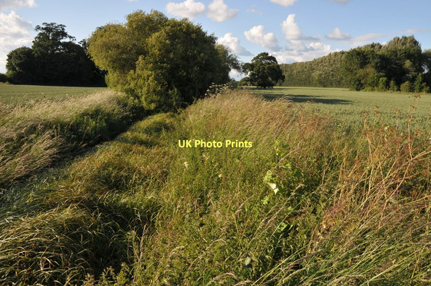 Photo 6"x4" Brook near Naunton Farm Birch Green\/SO8545 c2011