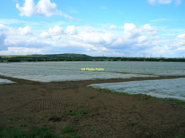 Photo 6"x4" Farmland, Eggborough Eggborough c2011