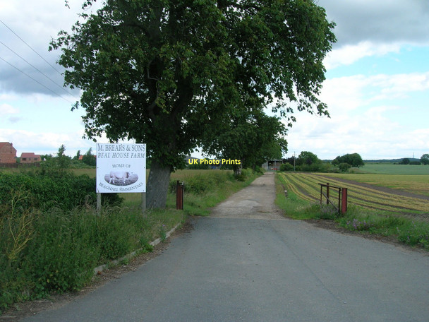 Photo 6"x4" Track to Beal House Farm Beal\/SE5325 c2011