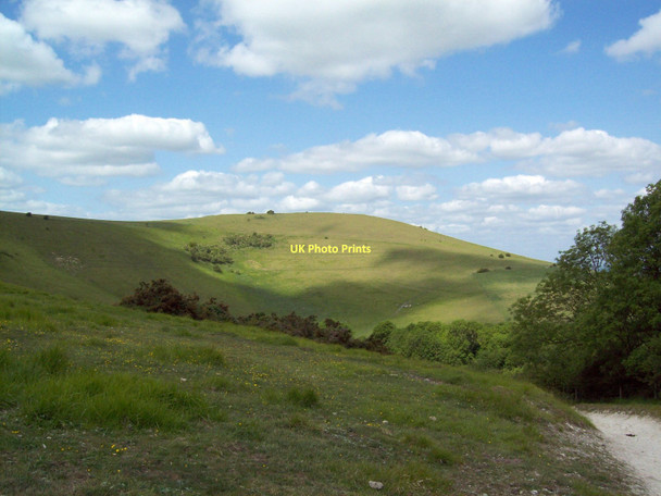 Photo 6"x4" Wolstonbury Hill near Pyecombe Pyecombe c2011