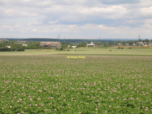 Photo 6"x4" Farmland off Lower Taythes Lane Knottingley c2011
