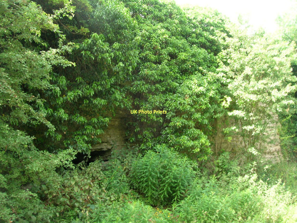 Photo 6"x4" Quarry face beside Leys Lane Knottingley c2011