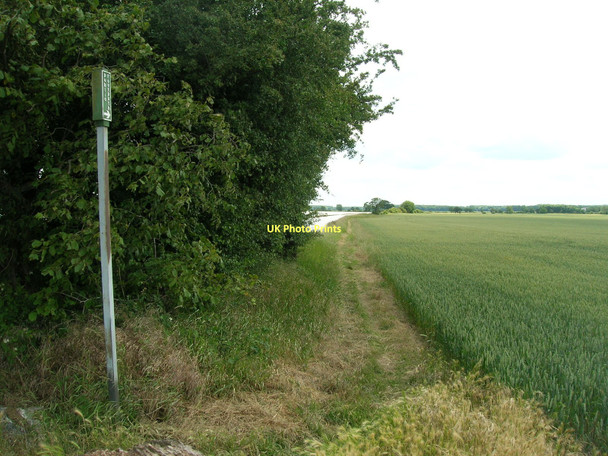 Photo 6"x4" Footpath south of Whitefield Lane Whitley\/SE5621 c2011