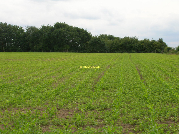Photo 6"x4" Farmland off Heck and Pollington Lane Great Heck c2011