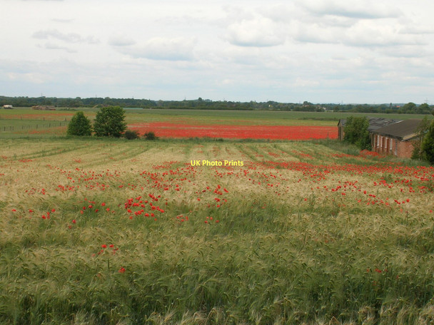 Photo 6"x4" Farmland off Heck and Pollington Lane Pollington c2011