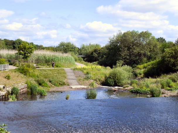 Photo 6"x4" River Derwent, Derwenthaugh Park Whickham c2011