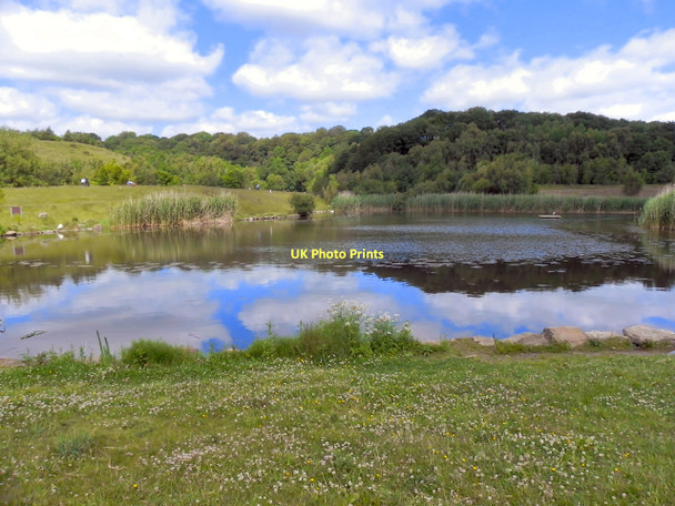 Photo 6"x4" Clockburn Lake, Derwenthaugh Park Whickham c2011