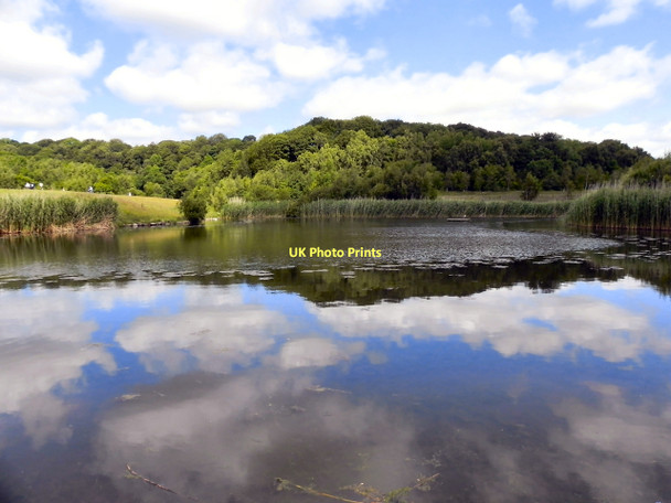 Photo 6"x4" Derwenthaugh Park, Clockburn Lake Whickham c2011