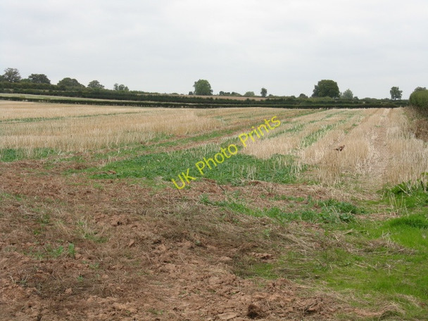 Photo 6"x4" Stubble Field Near Bainstree Cross Stretford Court c2009