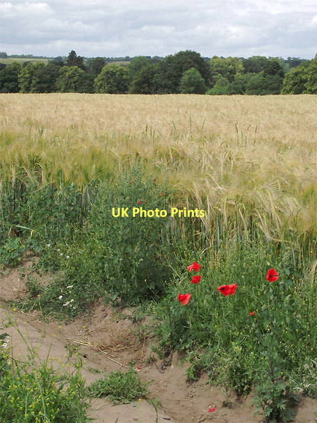 Photo 6"x4" Farmland near Claverley, Shropshire Beobridge c2011