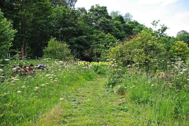Photo 6"x4" Public bridleway, Blackstone Bewdley\/SO7875 c2011