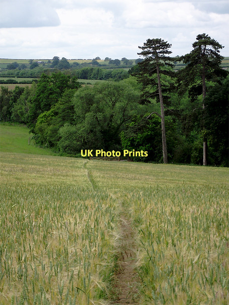 Photo 6"x4" Farmland south of Claverley, Shropshire Beobridge c2011