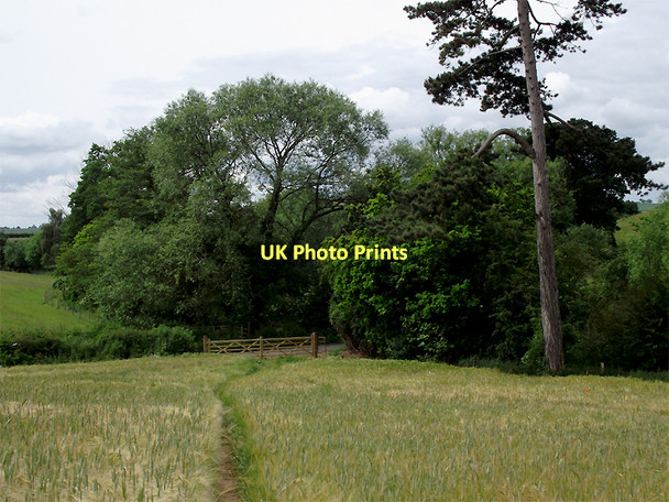 Photo 6"x4" Footpath over fields south of Claverley, Shropshire Beobridge c2011
