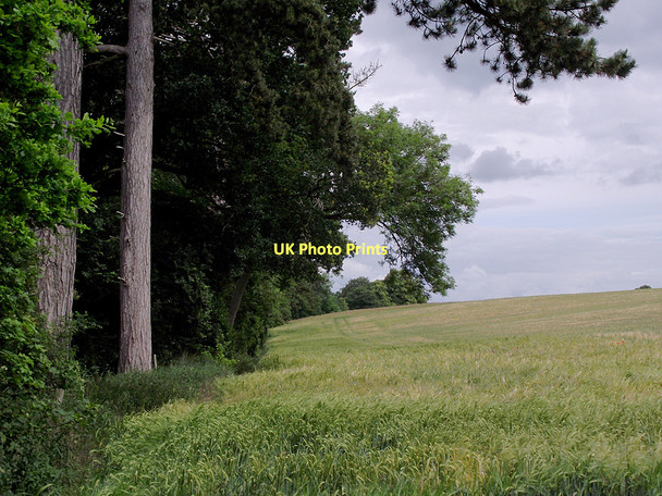 Photo 6"x4" Field edge south of Claverley, Shropshire Beobridge c2011