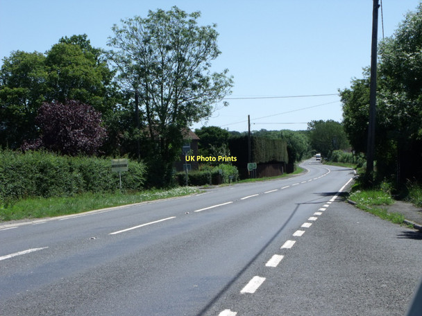 Photo 6"x4" A 22 at Whitesmith, East Sussex Whitesmith c2011