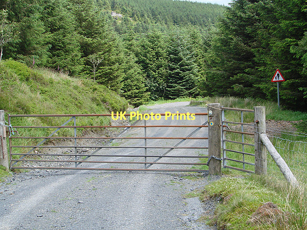 Photo 6"x4" The boundary between Sweet Lamb and Hafren Forest Esgair y Maesnant c2011