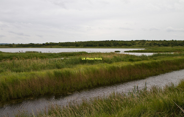Photo 6"x4" Vange Marshes Nature Reserve Vange c2011