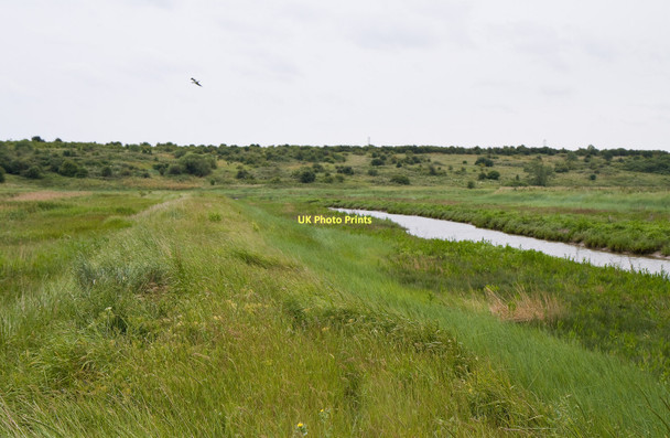 Photo 6"x4" Vange Marshes Nature Reserve Vange c2011 P1
