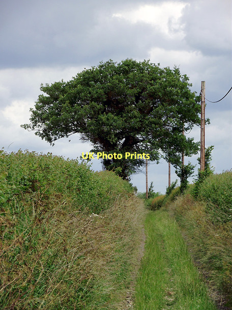 Photo 6"x4" Byway to Claverley, Shropshire Beobridge c2011