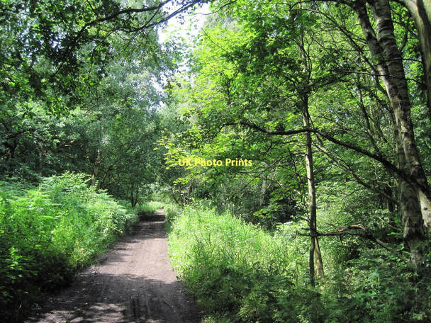 Photo 6"x4" Mill Wood Speke c2011