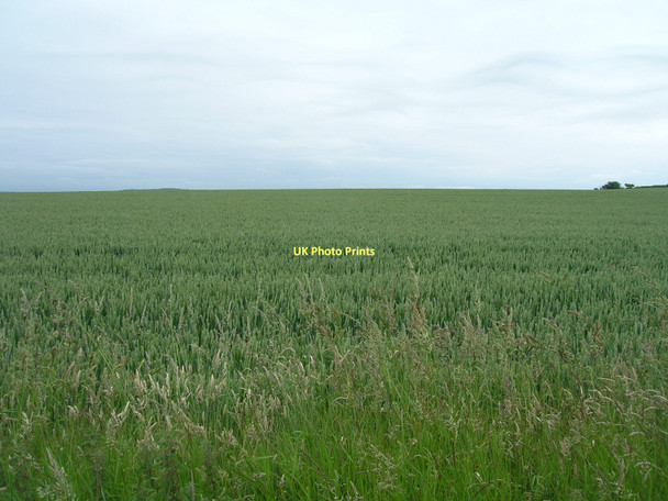 Photo 6"x4" Farmland off Guisborough Road (A171) Selly Hill c2011