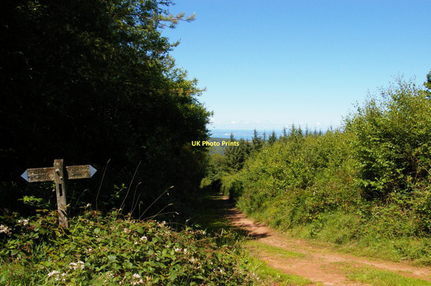Photo 6"x4" Looking north from the triangulation point, Wootton Common Cowbridge\/SS9542 c2011